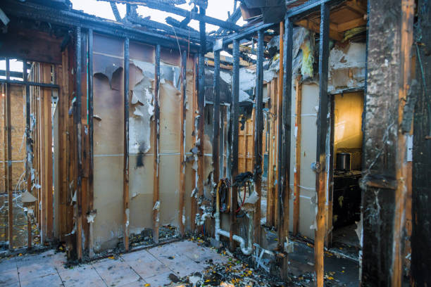 Professional Fire Damage Removal technician working in Princeville, IL